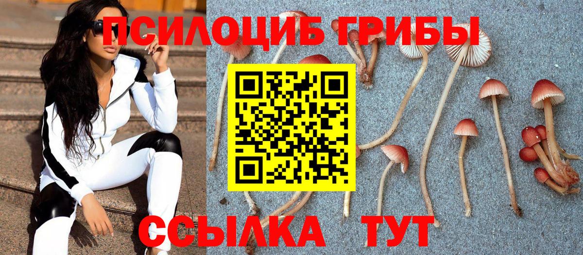 Галлюциногенные грибы MAGIC MUSHROOMS Тамбов
